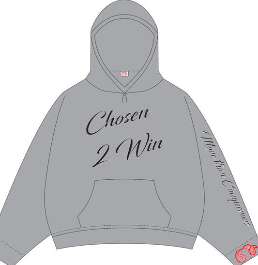 Stone Spirit Hoodie – Steadfast Gray